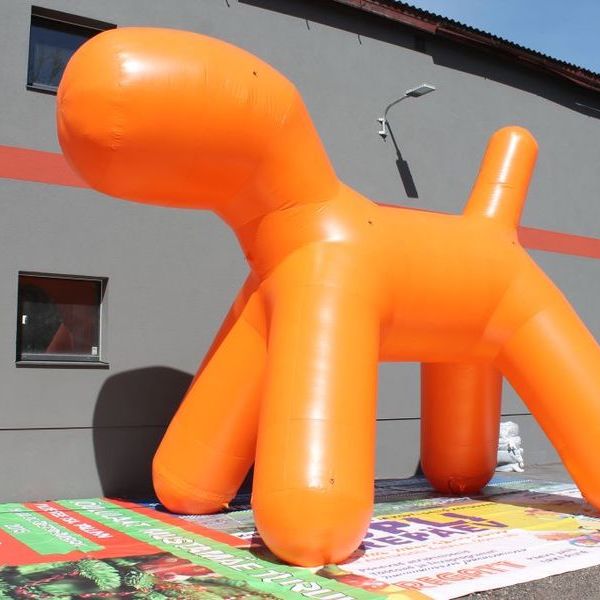 Suur oranž täispuhutav koer, näide erikujulisest reklaamilahendusest