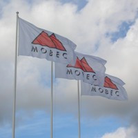 Flags — example b506ae