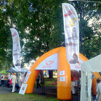 Flags — example c1a615