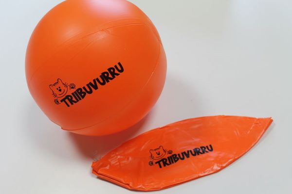 Rannapall Triibuvurru Rannapall Triibuvurru